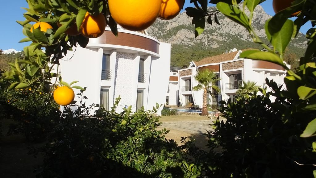 Han-de Homes * Kemer