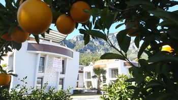 Apartament Han-de Homes *